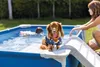 Piscina INTEX 48404 Frame Pet Set con sistema di filtraggio Anteprima dell’immagine prodotto 5