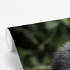 MuchoWow® Fototapete für Wohnzimmer oder Schlafzimmer Produktbild-Vorschau 3
