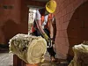 DeWALT DWE398-QS Spezialsäge Alligator 17 Zoll, 430mm, Produktbild-Vorschau 15