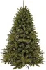 Triumph Tree Arbre de Noël artificiel Forest Frosted - Voir les images du produit 1