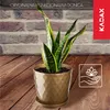 Vaso da fiori in plastica KADAX "Amily", vaso con piattino. Anteprima dell’immagine prodotto 3