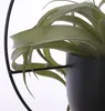 Závěsný květináč Mica Decorations Dexter - D34 x Š14 x V65 Náhled obrázku produktu 4