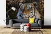 Vlies Fototapete PORTRÄT EINES TIGERS 375 x 250 cm (inkl. Produktbild-Vorschau 1