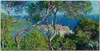 Coloray Bild aus Acryl 120 cm x 60 cm - Wohnzimmer Produktbild-Vorschau 1