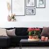 Kolibri Orchideen | Combi Deal von 2 roten Phalaenopsis Produktbild-Vorschau 4