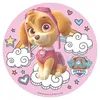 2er Set Paw Patrol Skye Tortenaufleger + Kerzen Geburtstag Produktbild-Vorschau 2