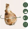 Narcisse - Set de 30 - Narcissus 'Recurvus' - Bulbes à Voir les images du produit 2