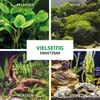 Plantenlijm Aquarium 50 g - Gel voor aquariumplanten Productafbeelding-voorbeeld 8