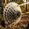 Shimano CS-HG41 kazeta 8rychlostní zásuvná kazeta Náhled obrázku produktu 4