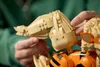 LEGO Pokémon Arkani: Set de construcción para adultos. Vista previa de la imagen del producto 28