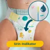 Pampers Windeln Premium Protection New Baby Größe 1 Newborn Produktbild-Vorschau 2