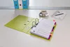 ELBA 400005446 Kunststoff-Register myColour DIN A4 Voir les images du produit 5