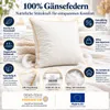 2er Set Federkissen 40x40 cm 300 g 100% Gänsefedern Produktbild-Vorschau 2
