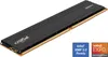 Memoria Crucial Pro 16 GB DDR4-3200 CL22 UDIMM Anteprima dell’immagine prodotto 1