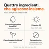 Curcuma Capsule con Vitamina D3 - Curcumina NovaSOL, 30 Anteprima dell’immagine prodotto 4