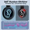 A split image showing two headphone earcups and a frequency response graph. Produktbild-Vorschau
