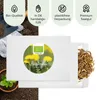 Löwenzahn Samen - Küchenkräuter Saatgut aus biologischem Produktbild-Vorschau 4