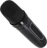 Głośnik do karaoke z mikrofonem - SD/USB/AUX/Bluetooth Podgląd zdjęcia produktu 4