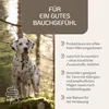 Provicell EM Vital 250 ml | Probiotika Hund | Natürliche Produktbild-Vorschau 2