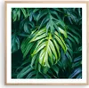 Gerahmtes Poster - Rahmen in heller Eiche - Blume Natur - Produktbild-Vorschau 1