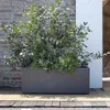 Deroma Pflanzkasten Millennium Kunststoff 99 cm Anthrazit Produktbild-Vorschau 4