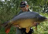 Boilies SuperFeed 18 mm/1 kg Halibut & Jahoda Anteprima dell’immagine prodotto 8