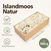 Islandmoos 500 g in über 30 Farben, konservierte Produktbild-Vorschau 1