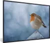 MuchoWow® Gerahmtes Poster Rotkehlchen - Winter - Blau Produktbild-Vorschau 1