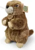 Marmotta di peluche, 23 cm, ecologica Anteprima dell’immagine prodotto 6