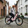 Hiland 26 Zoll 7-Gang 250W Elektrofahrrad für Männer und Produktbild-Vorschau 4