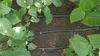 DSWWM50-SET1 Gartenschlauch 50 m Produktbild-Vorschau 7