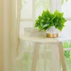 Gardinen Vorhänge Voile Gardine Transparent Dekoschal Uni Produktbild-Vorschau 6