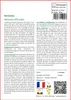 SAFLAX  - Verveine - 250 graines - Verbena Voir les images du produit 3