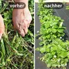 Bändchengewebe – effektive Unkrautfolie für Ihre Beete – Produktbild-Vorschau 3