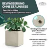 2er Set Pflanzkübel „Millennium“ 39x39x39 cm - Creme Weiß - Produktbild-Vorschau 6