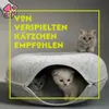 Katzenhöhle Katzenbett Tierhöhle mit Reißverschluss Produktbild-Vorschau 6