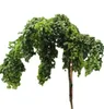 Scheinakazie - Robinia Twisty Baby Hochstamm 80 - 100 cm Produktbild-Vorschau 1