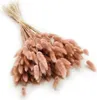 Getrocknete Hasenschwanzgras - (Lagurus) - Altrosa Produktbild-Vorschau 1