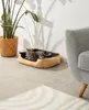 Lionto kattenbed, zacht knuffelbed met een uitneembaar, Productafbeelding-voorbeeld 2
