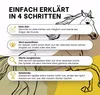 Kartenspiel Trumpfstars Pferde und Ponys 3 in 1 Produktbild-Vorschau 4