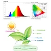 LED Pflanzenlampe 50W IP66 Wasserdicht,Led Grow Lampe Produktbild-Vorschau 3