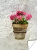 MuchoWow® Poster Ein Topf mit Geranienblüten in Bocairent Produktbild-Vorschau 1