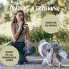 RUDELKÖNIG Hundepfeife Schwarz – Trainingspfeife für Hunde Produktbild-Vorschau 6