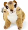 Carl Dick scoiattolo 17 cm. Peluche, peluche, peluche 3706 Anteprima dell’immagine prodotto 2