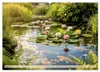Oase im Garten (Wandkalender 2027 DIN A2 quer), CALVENDO Produktbild-Vorschau 5