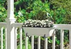 elho green basics Balkonkasten 50cm - lebhaft schwarz Produktbild-Vorschau 3