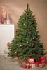 Triumph Tree Arbre de Noël artificiel Forest Frosted - Voir les images du produit 2