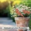 Gartenstecker in Rost & Silber Rost Deko für Garten, Balkon Produktbild-Vorschau 3