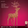 Kaemingk Weihnachtsbeleuchtung MicroLED, natur/warmweiß, L Produktbild-Vorschau 2