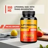 Liposomal NAD+ Trans-Resveratrol (120 Kapseln) Produktbild-Vorschau 6